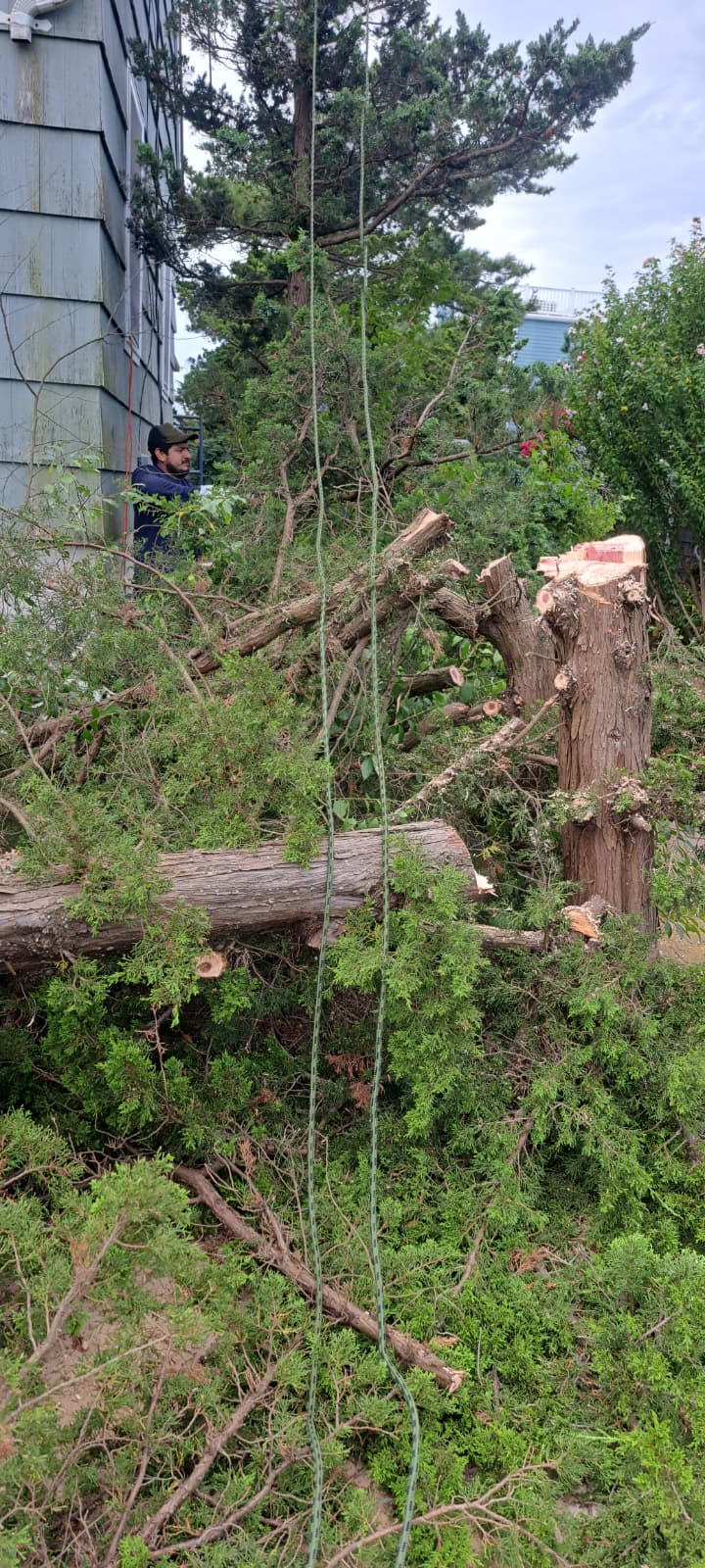 Sandoval Brothers Services LLC